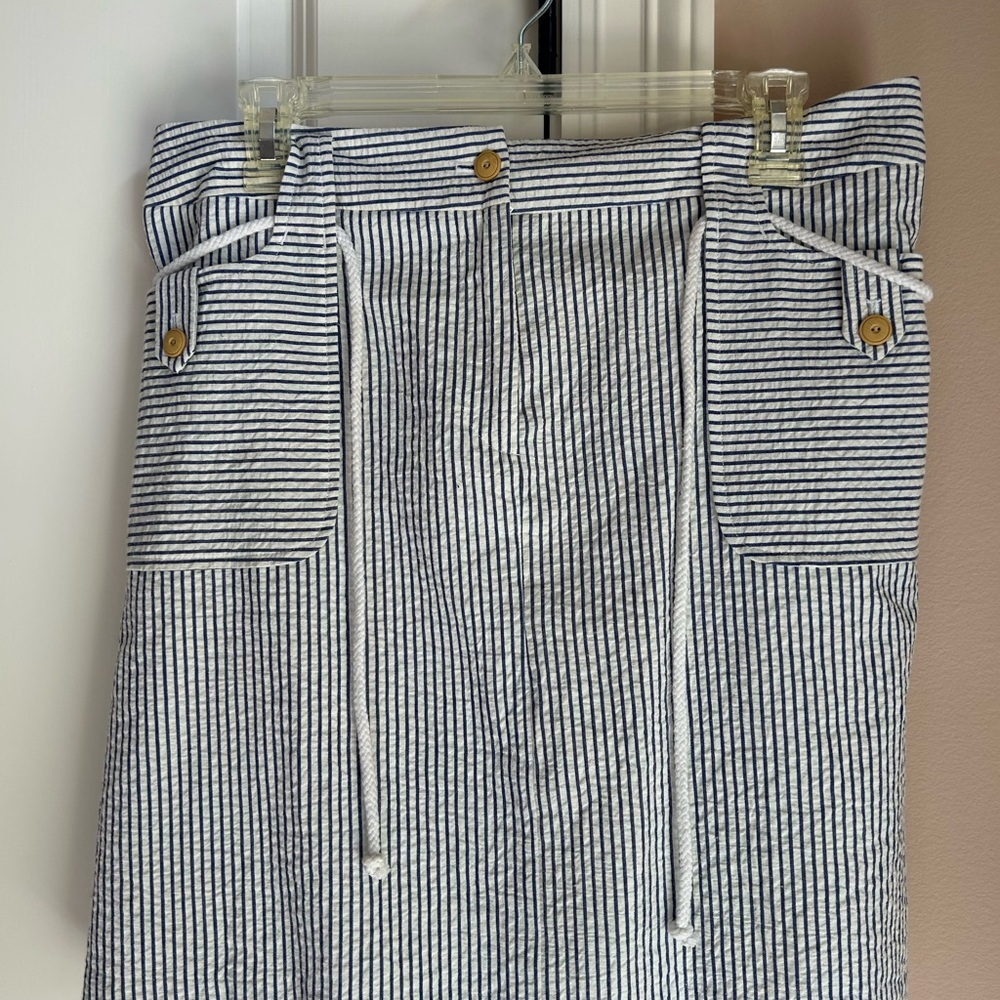 Striped Blue and White Women's Skirt